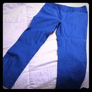New York Co Pants